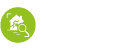 Scanning Company